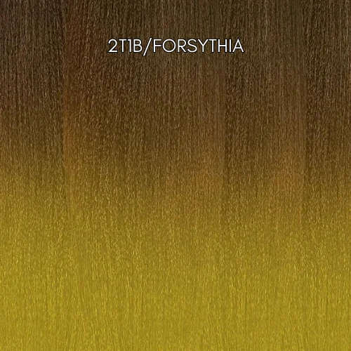 2T1B/FORSYTHIA / 1 Pack