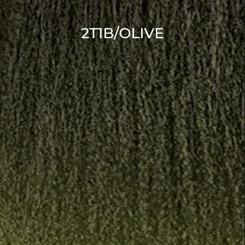 2T1B/OLIVE