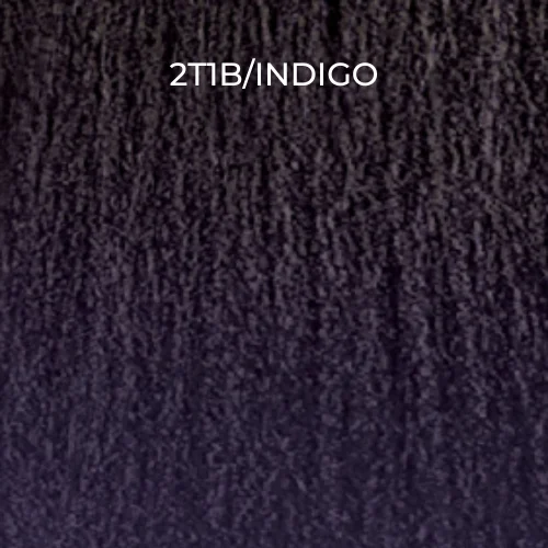 2T1B/INDIGO