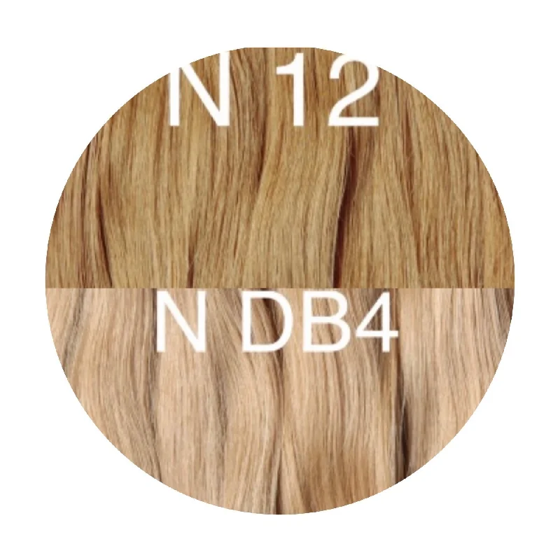 Hair Ponytail Color _12/DB4 GVA hair_One donor line