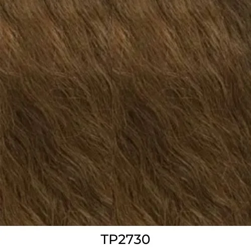 TP2730