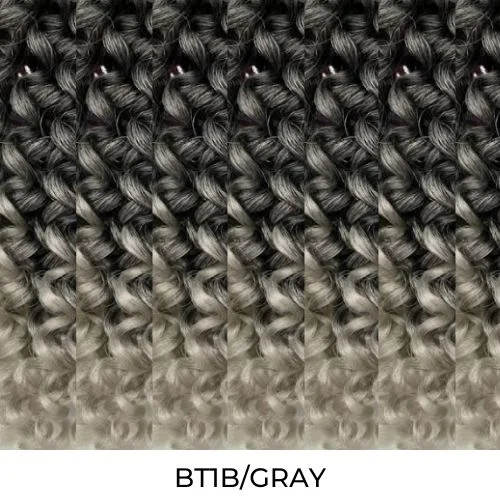 BT1B/GRAY