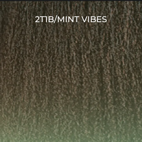 2T1B/MINT VIBES / 1 Pack