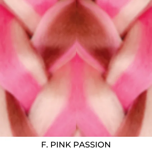 F.PKPASSION