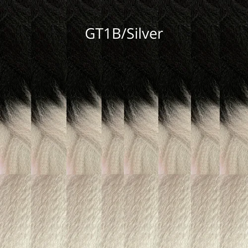 GT1B/SILVER