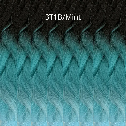 3T1B/MINT