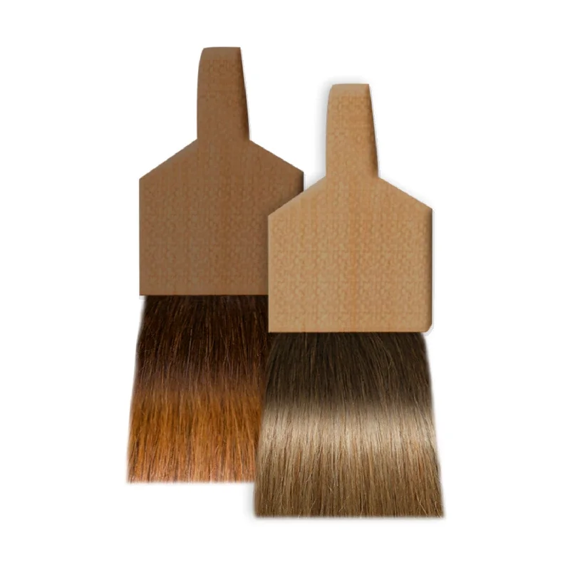 Seiseta Micro Loop Ombré Hair Extensions