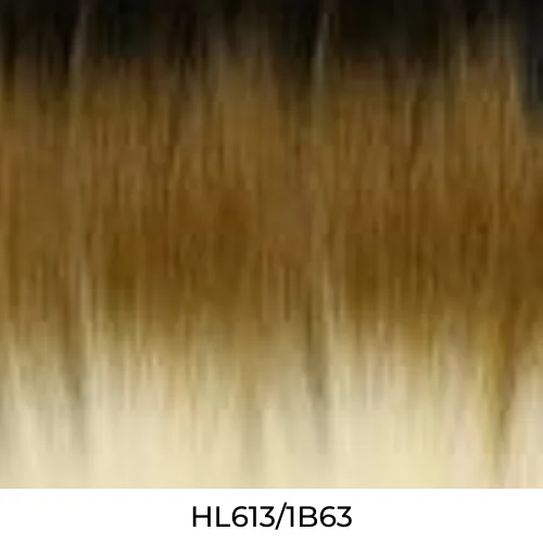 HL613/1B63